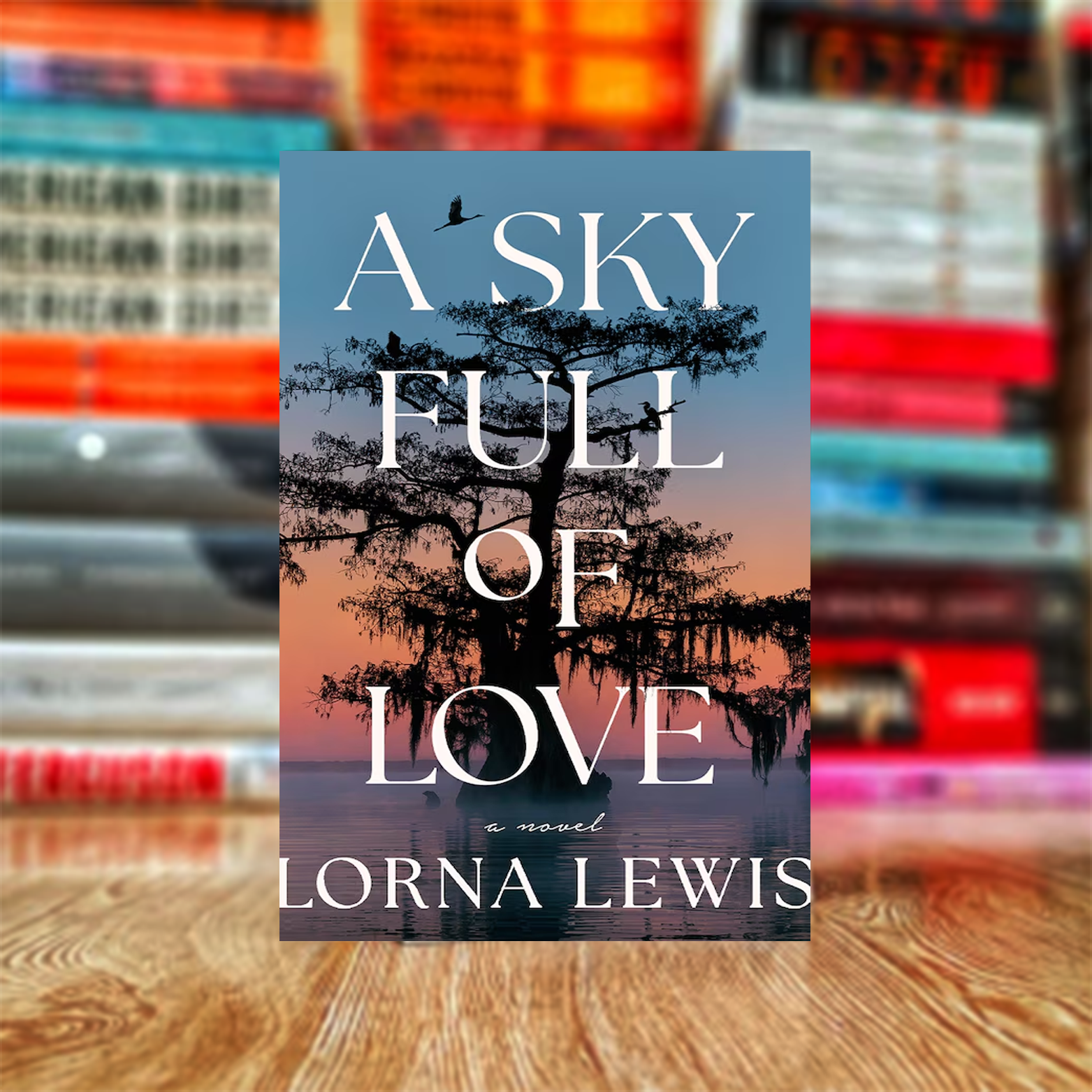 K19 A Sky Full of Love by Lorna Lewis (Hardcover) - Image 1