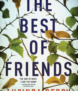 The Best of Friends by Lucinda Berry