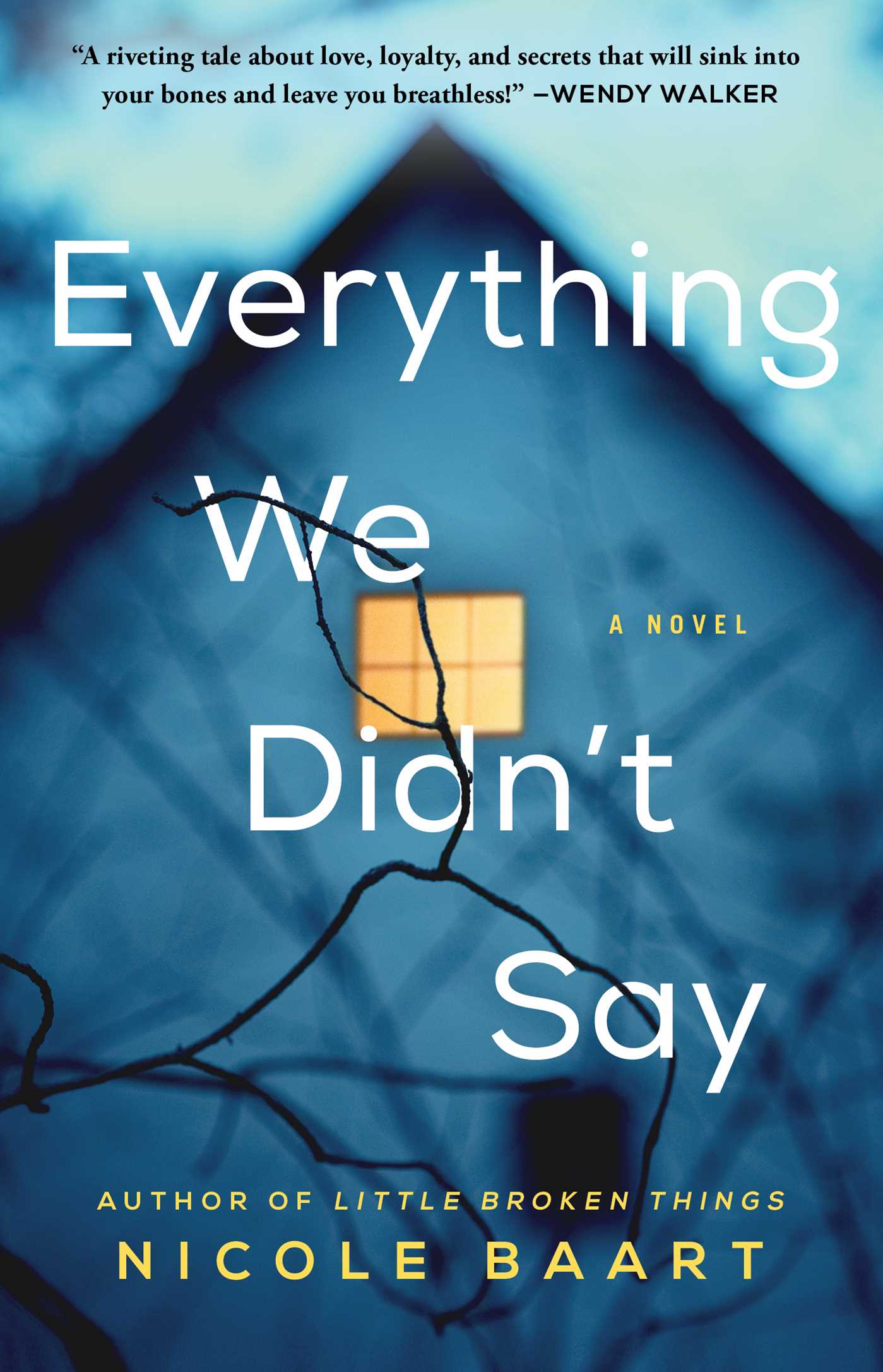 everything-we-dont-say-1 Everything We Didn't Say by Nicole Baart - Image 1
