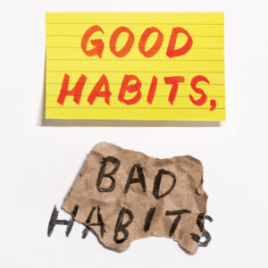 Good Habits, Bad Habits by Wendy Wood