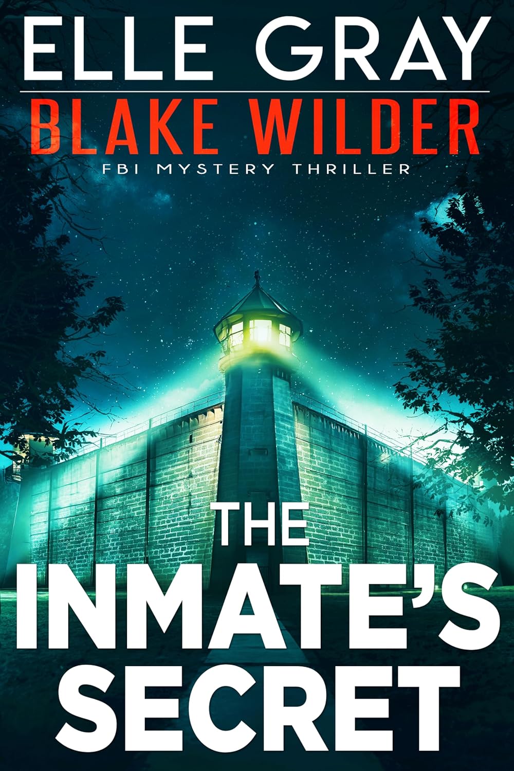the-inmates-secret-1 The Inmate's Secret by Elle Gray - Image 1